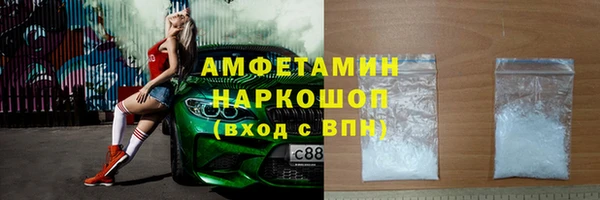 индика Аркадак