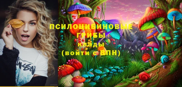 соль ск Армянск