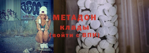 индика Аркадак
