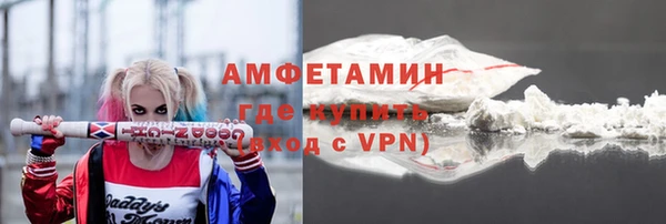 индика Аркадак