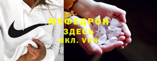 индика Аркадак