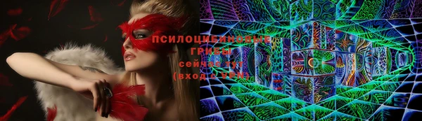 Альфа ПВП Арсеньев