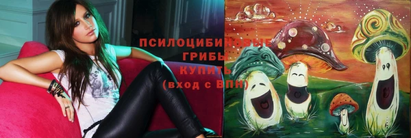 индика Аркадак