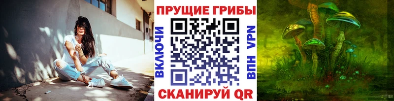 Галлюциногенные грибы Psilocybe  Ирбит 